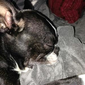 Meet your Posher, Tony